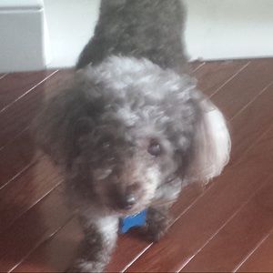 Meet your Posher, Angelette